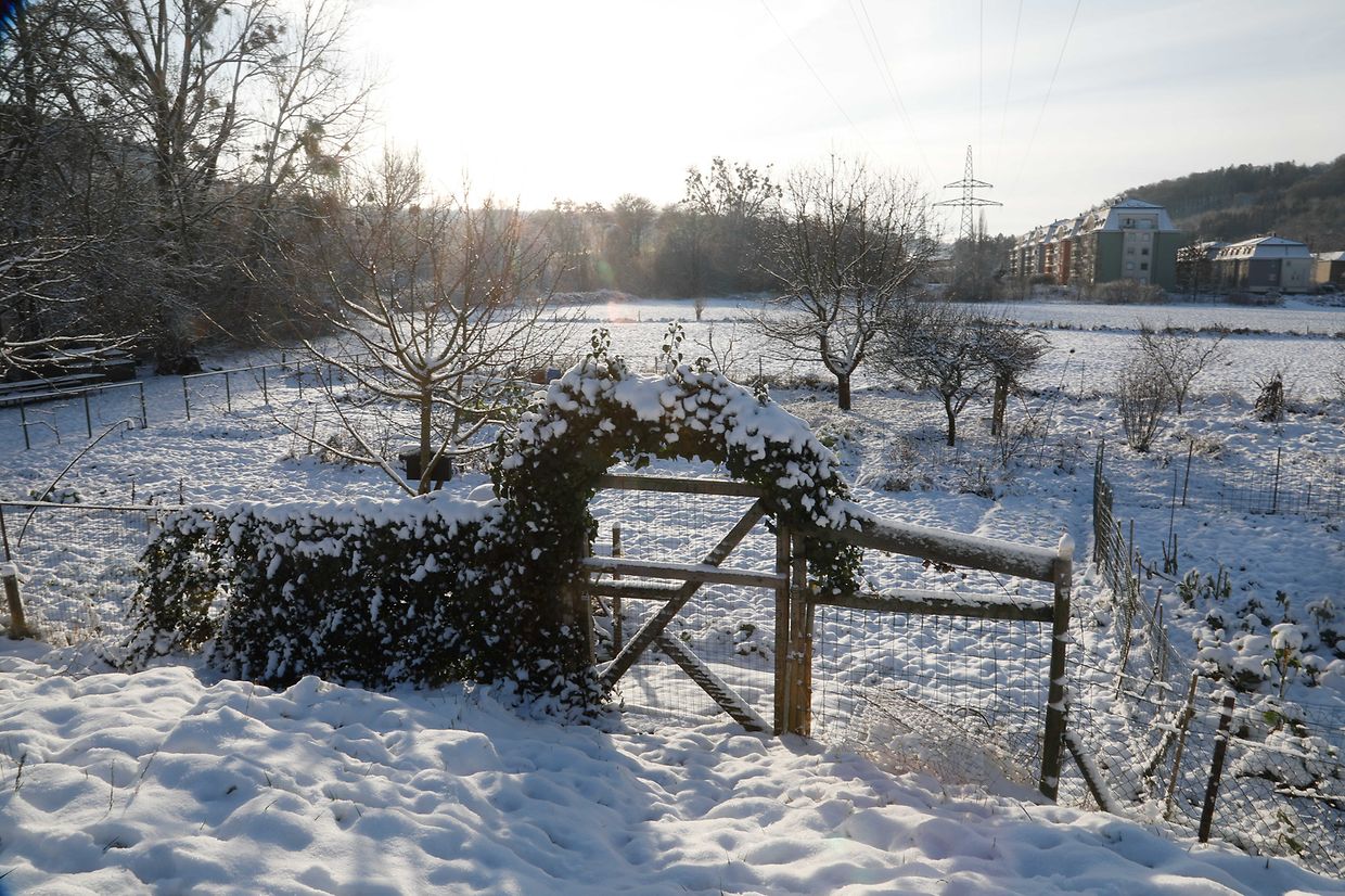 Illustration, Schnee, Winter, Winterlandschaft, Foto: Anouk Antony/Luxemburger Wort