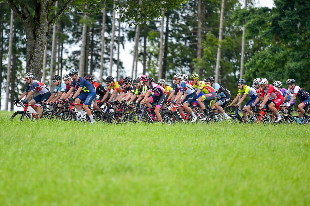 Das Fahrerfeld kurz nach dem Start in Harlingen.