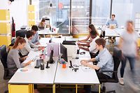 The hustle and bustle of open-plan offices means that many employees switch to the home office for concentration tasks