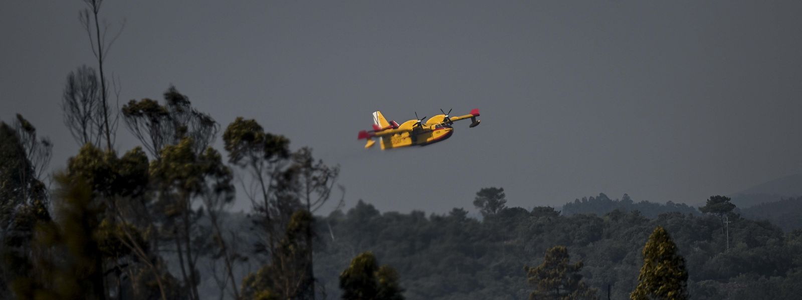 Wegen des erhöhten Waldbrandrisikos gilt seit Mitternacht im gesamten Land der dritthöchste Notstand.