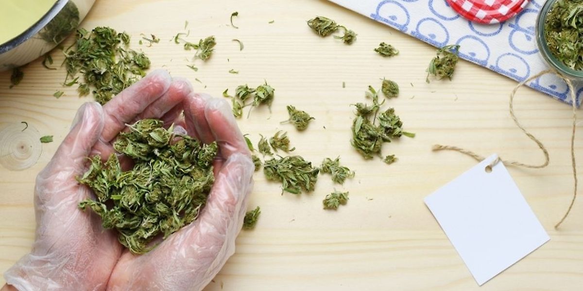 Trois mois après l'introduction du cannabis thérapeutique, ce sont plus de 120 patients qui ont été soignés ainsi.