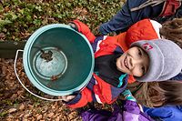 Lok , Sueden , Lasauvage , Ecole Nature Differdingen , Kinder sammeln Kröten , Foto:Guy Jallay/Luxemburger Wort