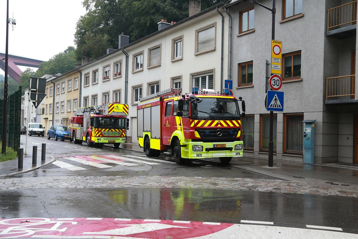 Beschädigte Bäume im Pfaffenthal.