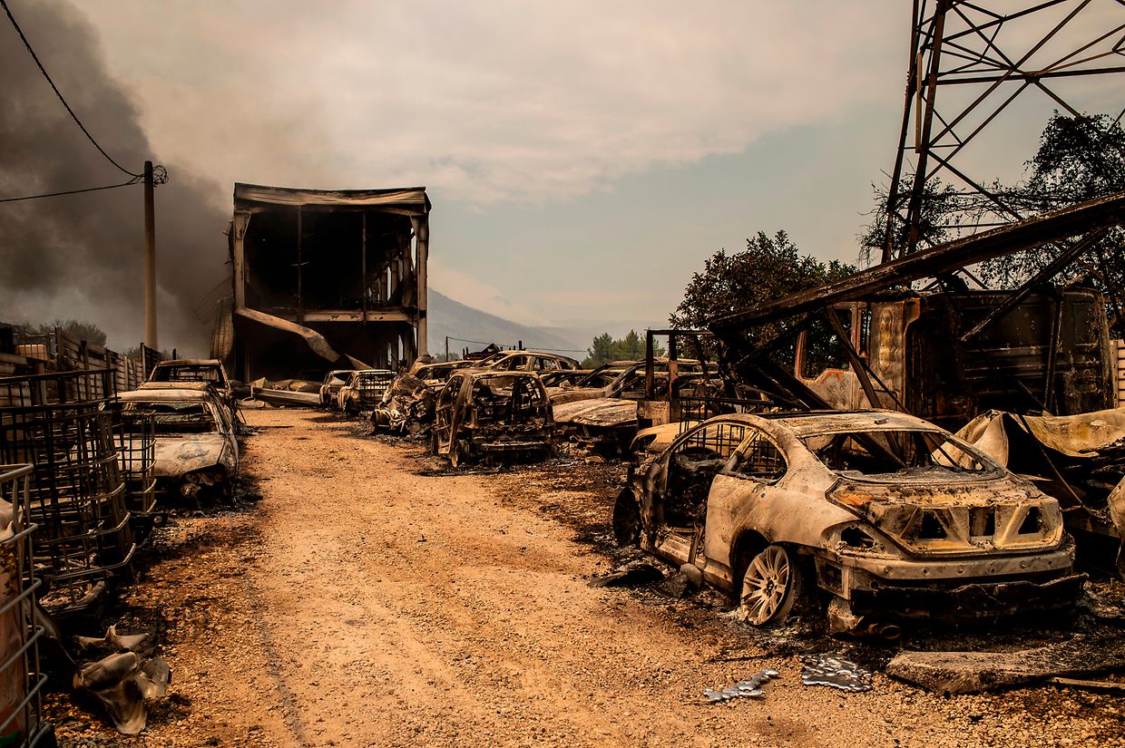 Afidnes: Ausgebrannte Autos stehen am Straßenrand während eines Waldbrands nördlich von Athen. 