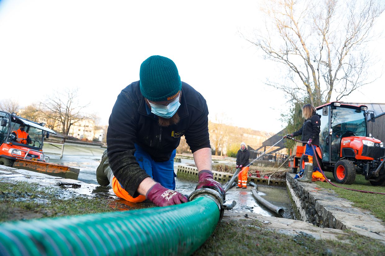 Im Laufe der Zeit hat sich jede Menge Schmutz - in der Hauptsache Exkremente der Tiere und Brotreste - angesammelt.