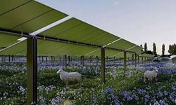 So könnte der Fotovoltaikpark aussehen.