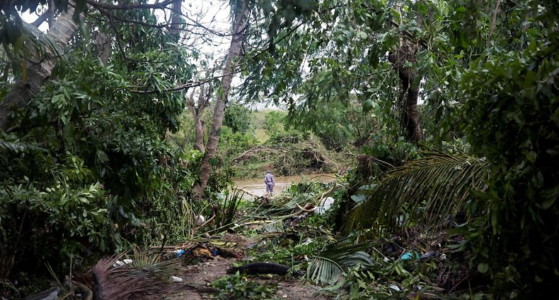 View of fallen trees in the aftermath of Hurricane Fiona in El Seibo, Dominican Republic, September 20, 2022. - Hurricane Fiona made landfall along the coast of the Dominican Republic on Monday, the National Hurricane Center said, after the storm tore through Puerto Rico. (Photo by Erika SANTELICES / AFP)