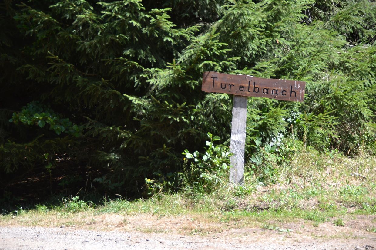 Au moins un panneau au milieu de la forêt indique la propriété.