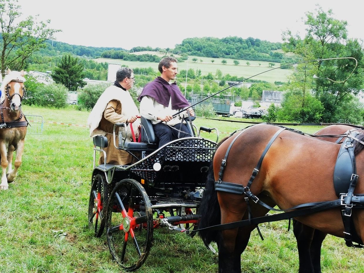 Die "Foire agricole" wusste den Regen am Samstag bereits mit einem abwechslungsreichen Show-Programm zur Nebensache werden zu lassen.