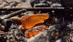 Wer Bernstein findet, etwa an der Ostsee, wird sich wundern: Das uralte Harz ist weder glatt poliert noch vollkommen transparent, ähnelt eher einem Feuerstein oder einem Stück Glas. 