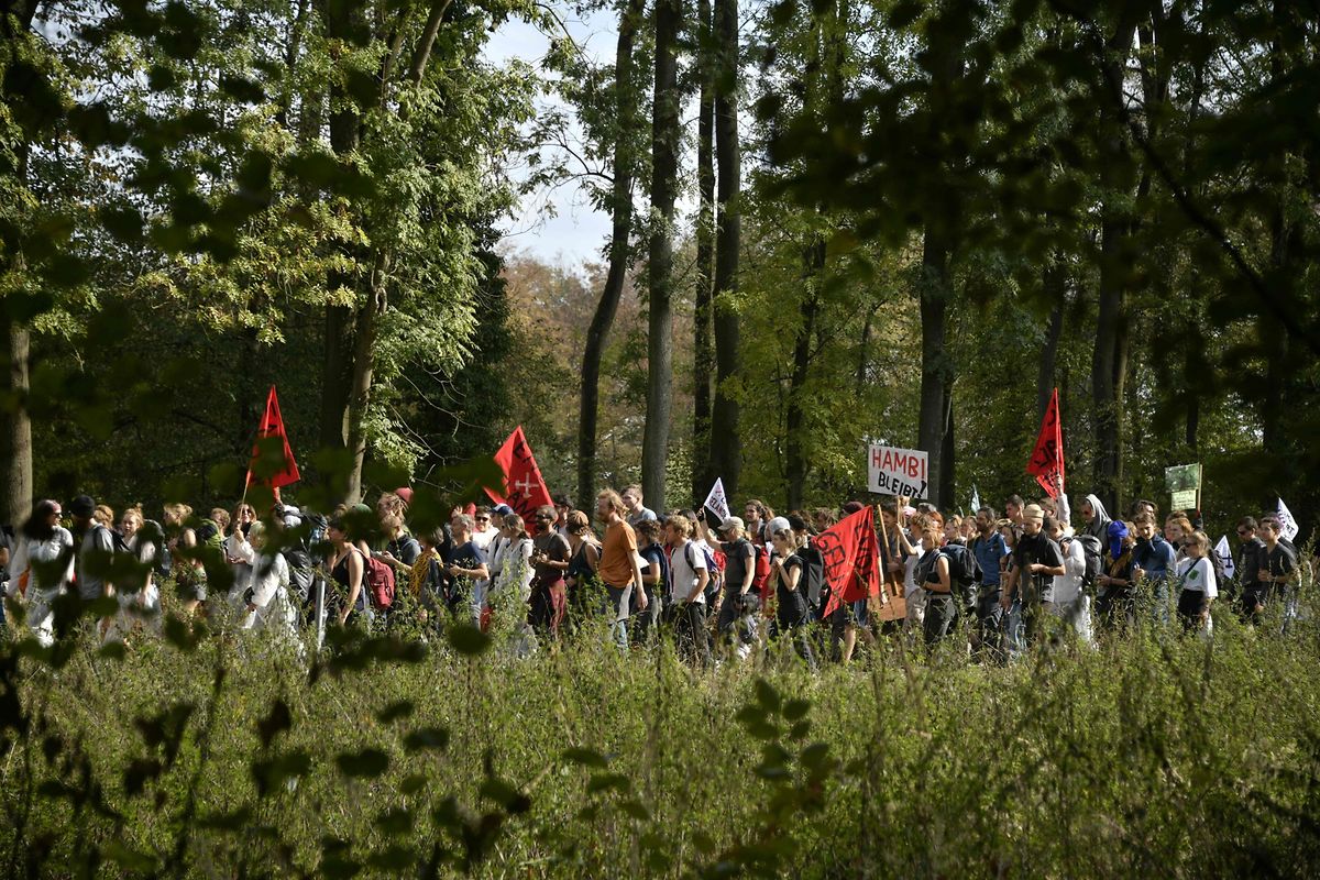 Demonstranten versammelten sich am Samstag im Hambacher Forst