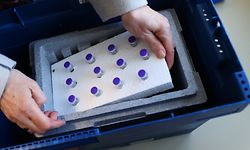 07.04.2021, Sachsen-Anhalt, Schönebeck: Apothekerin Futschedshiew nimmt in einer Hausarztpraxis eine Lieferung des Corona-Impfstoffs Comirnaty von Biontech/Pfizer aus einer Transportbox. In Sachsen-Anhalt werden die niedergelassenen Ärzte in die Impfstrategie einbezogen. Foto: Ronny Hartmann/dpa +++ dpa-Bildfunk +++