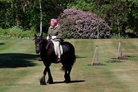 TOPSHOT - Britain's Queen Elizabeth II rides Balmoral Fern, a 14-year-old Fell Pony, in Windsor Home Park, west of London, over the weekend of May 30 and May 31, 2020. (Photo by Steve Parsons / POOL / AFP)