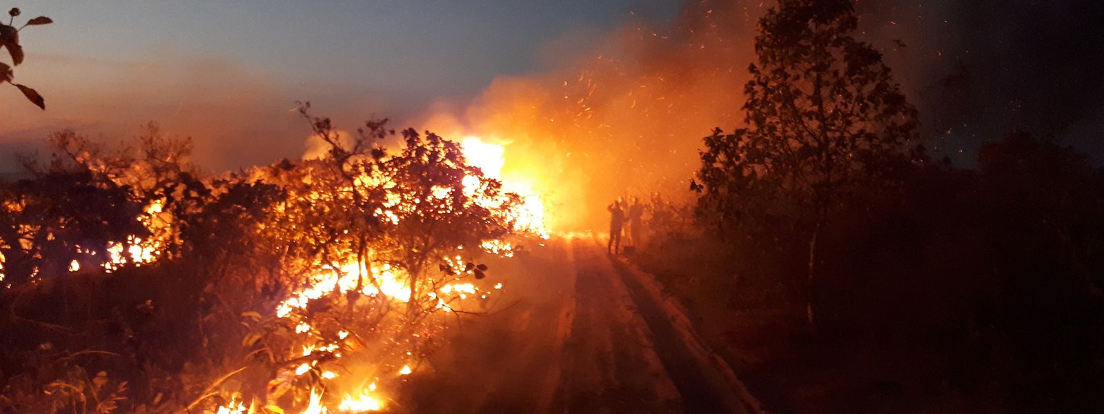 Waldbrand im Naturpark Chapada dos Guimaraes. Seit Wochen wüten Tausende Feuer im Amazonasgebiet und den angrenzenden Steppengebieten.
