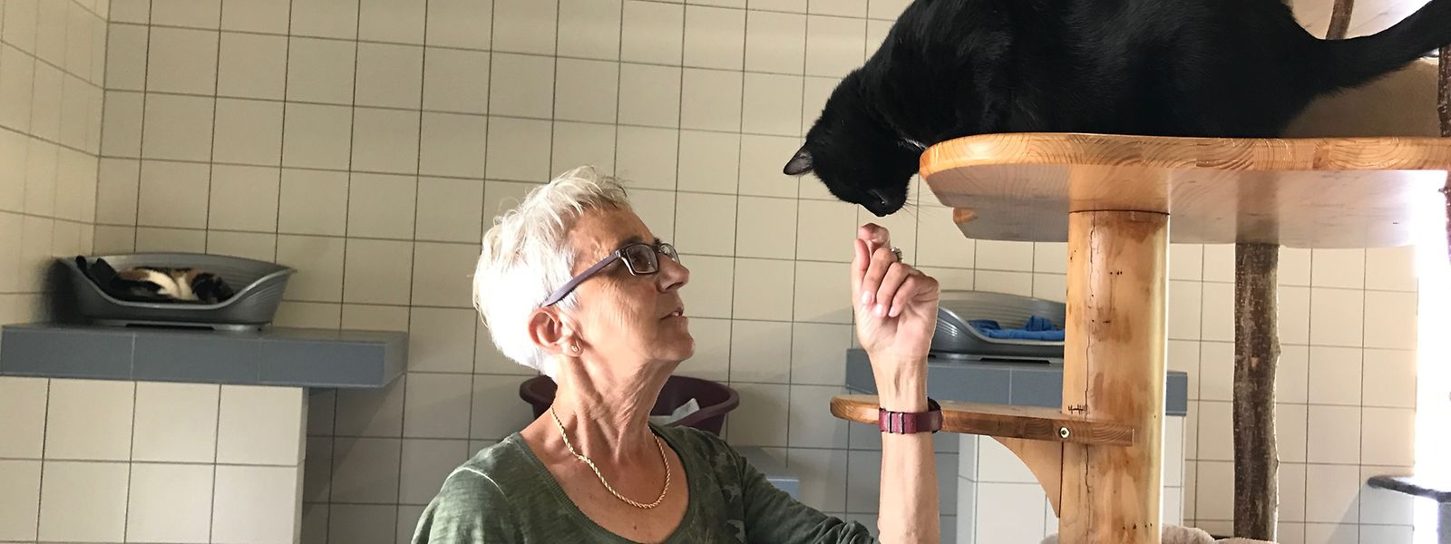 Liliane Ferron, Sprecherin der "Déireschutzliga", arbeitet seit 17 Jahren als Freiwillige im Tierasyl in Gasperich.