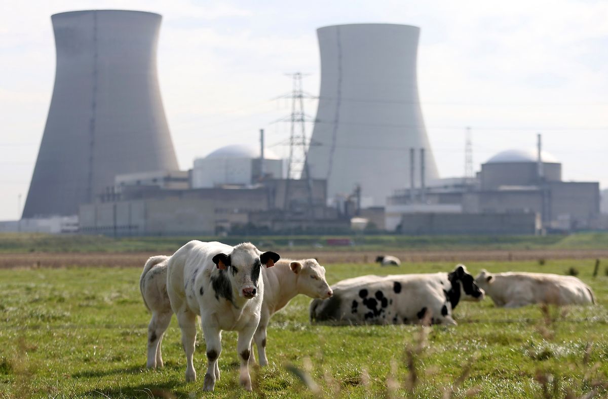 Grâce à la prolongation de Doel 4 et de Tihange 3, la Belgique pourra conserver la capacité de 2 GW d’électricité nucléaire.