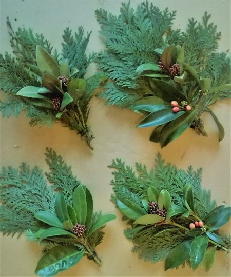 Sprigs of foliage Photo: Faye Peterson