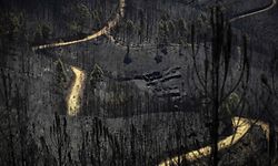 A road meanders among burnt forest areas affected by a wildfire in Vale do Cambra, some 30 km to Pedrograo Grande, on June 20, 2017.
The huge forest fire that erupted on June 17, 2017 in central Portugal killed at least 64 people and injured 135 more, with many trapped in their cars by the flames.

 / AFP PHOTO / MIGUEL RIOPA