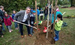 Projekt "Léieren am Gaart" mit dem CIGL Esch in Reckingen/Mess. Claude Meisch, Minister für Bildung, pflanzte zusammen mit den Schulkindern einen Walnussbaum im "Schoulgaart" in Reckingen/Mess. (Foto: Alain Piron)