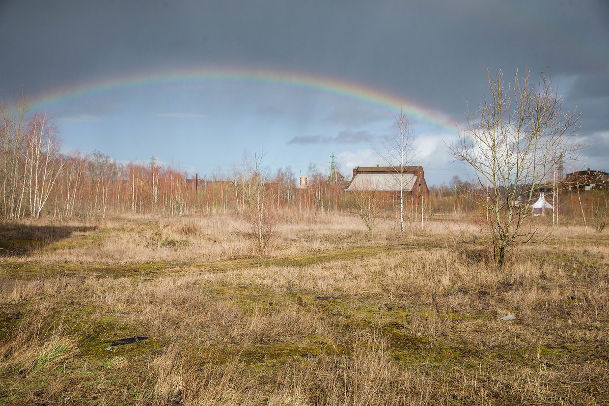 Dass das Areal Potenzial hat, eine Vielzahl an neuen Wohnungen zu beherbergen, lässt sich auf diesem Bild erahnen. 