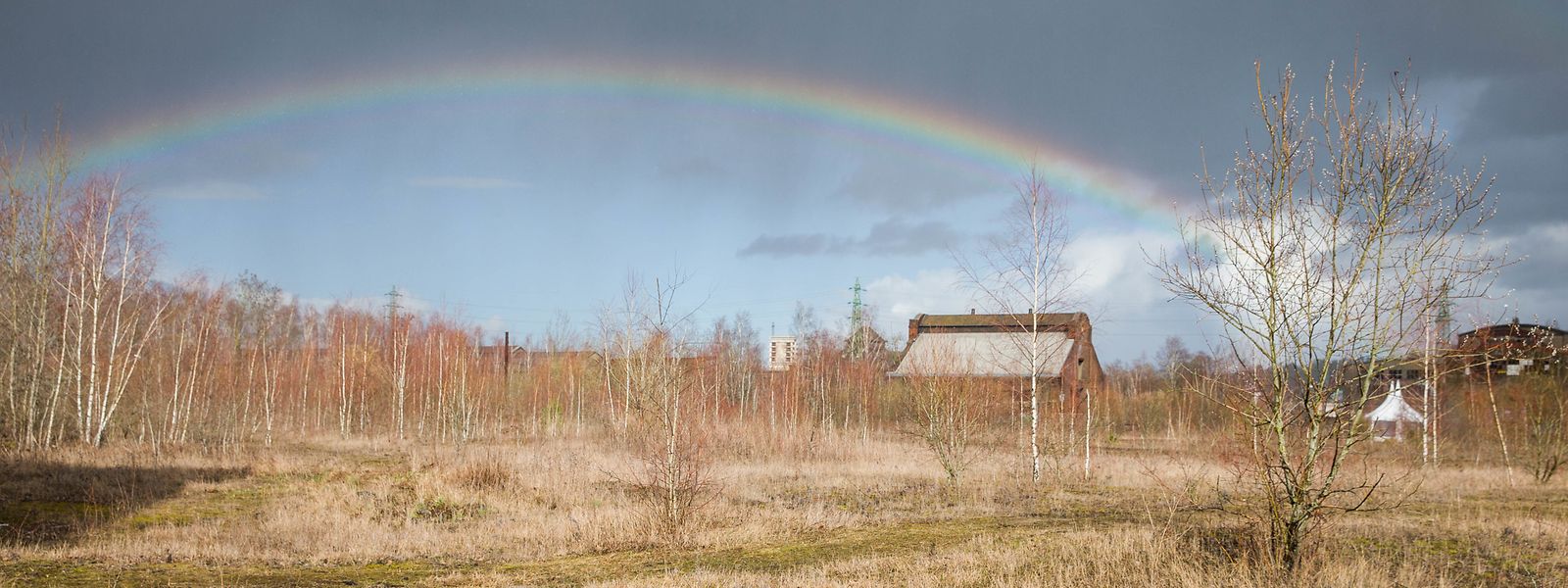 Noch ist es Braachland. Schon in diesem Jahr könnten erste Vor- und Sanierungsarbeiten beginnen.