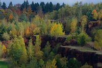 Der Staat will wertvolle Fläche zur Kompensation zusammenlegen