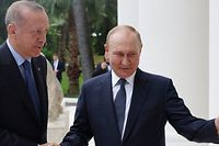 Der russische Präsident Wladimir Putin (rechts) schüttelt dem türkischen Präsidenten Recep Tayyip Erdogan in Sotschi die Hand.