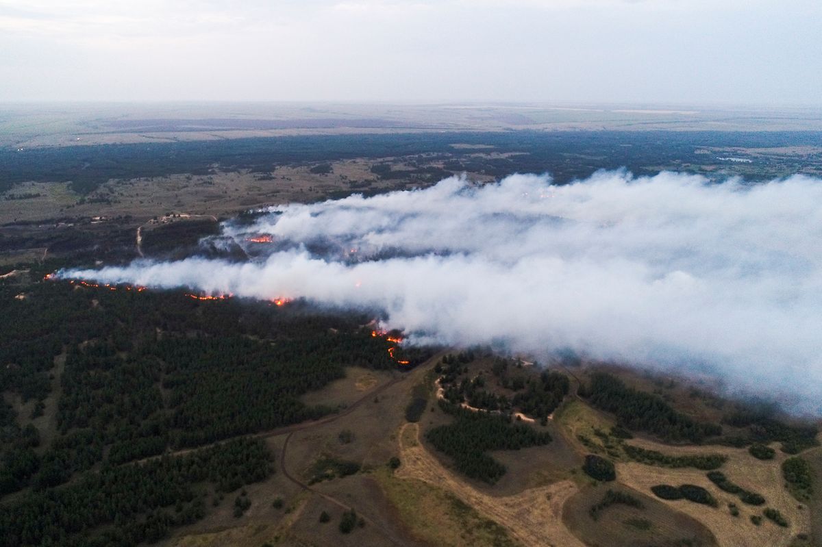 Ein Waldbrand mit einer Fläche von 200 Hektar im Bezirk Danilovka.