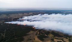 HANDOUT - 12.08.2021, Russland, ---: Ein Waldbrand mit einer Fläche von 200 Hektar im Bezirk Danilovka. Die verheerenden Waldbrände in Russland könnten nach Einschätzung von Umweltschützern ein historisches Ausmaß annehmen. Foto: Ministerium für Katastrophenschutz/TASS/dpa +++ dpa-Bildfunk +++