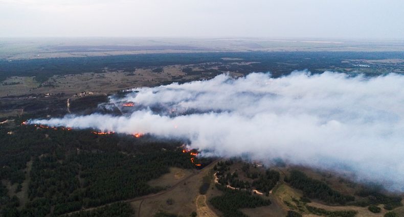 HANDOUT - 12.08.2021, Russland, ---: Ein Waldbrand mit einer Fläche von 200 Hektar im Bezirk Danilovka. Die verheerenden Waldbrände in Russland könnten nach Einschätzung von Umweltschützern ein historisches Ausmaß annehmen. Foto: Ministerium für Katastrophenschutz/TASS/dpa +++ dpa-Bildfunk +++