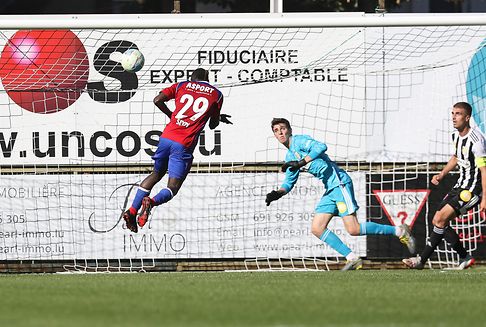 Un quatuor en tête, Holtz puissance trois