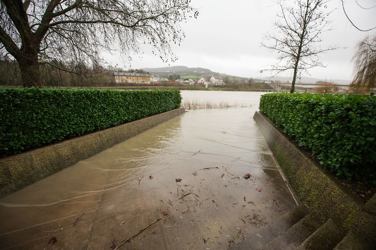 Hochwasser an der Mosel am Donnerstagmorgen.