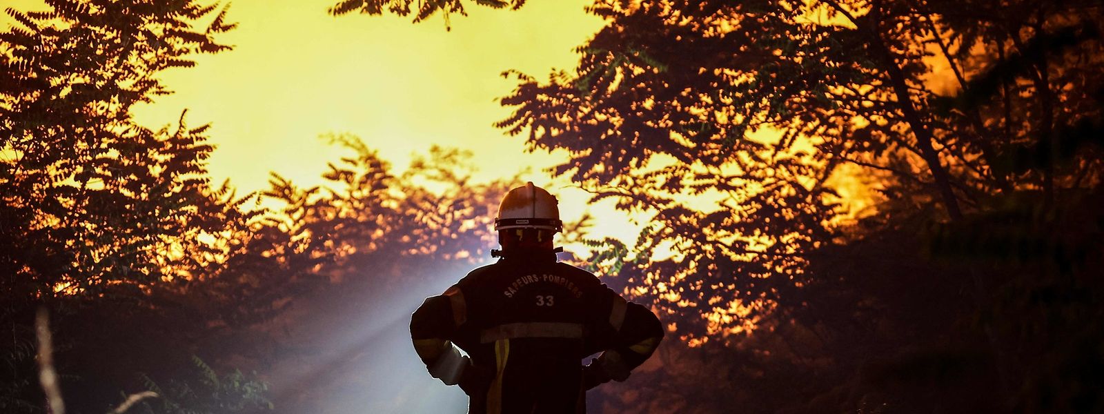 L'été n'aura laissé que peu de répit aux pompiers au regard des feux de forêt qui se sont multipliés ces dernières semaines.