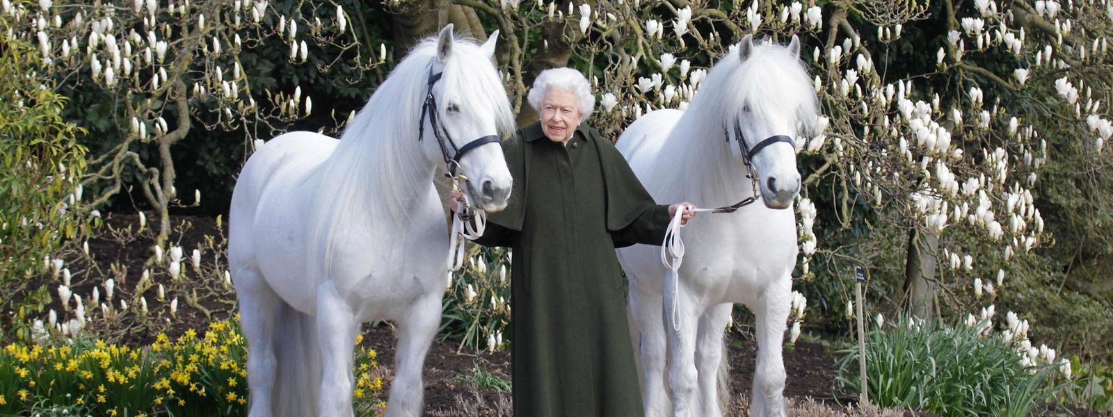 A mais recente imagem oficial, lançada pela ocasião do seu aniversário, mostra a monarca com os seus dois póneis. 