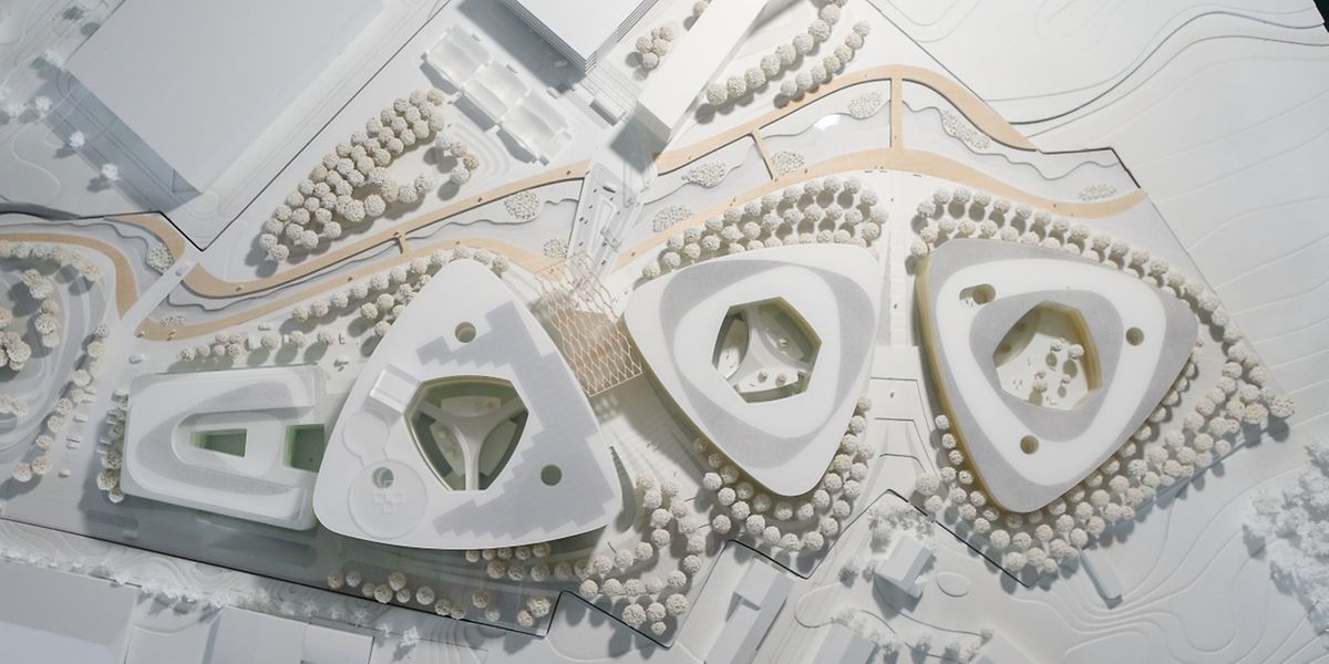 Le projet gagnant du futur «Südspidol» a été imaginé par le bureau d'architectes autrichien Albert Wimmer ZT-GmH dont le siège est à Vienne.