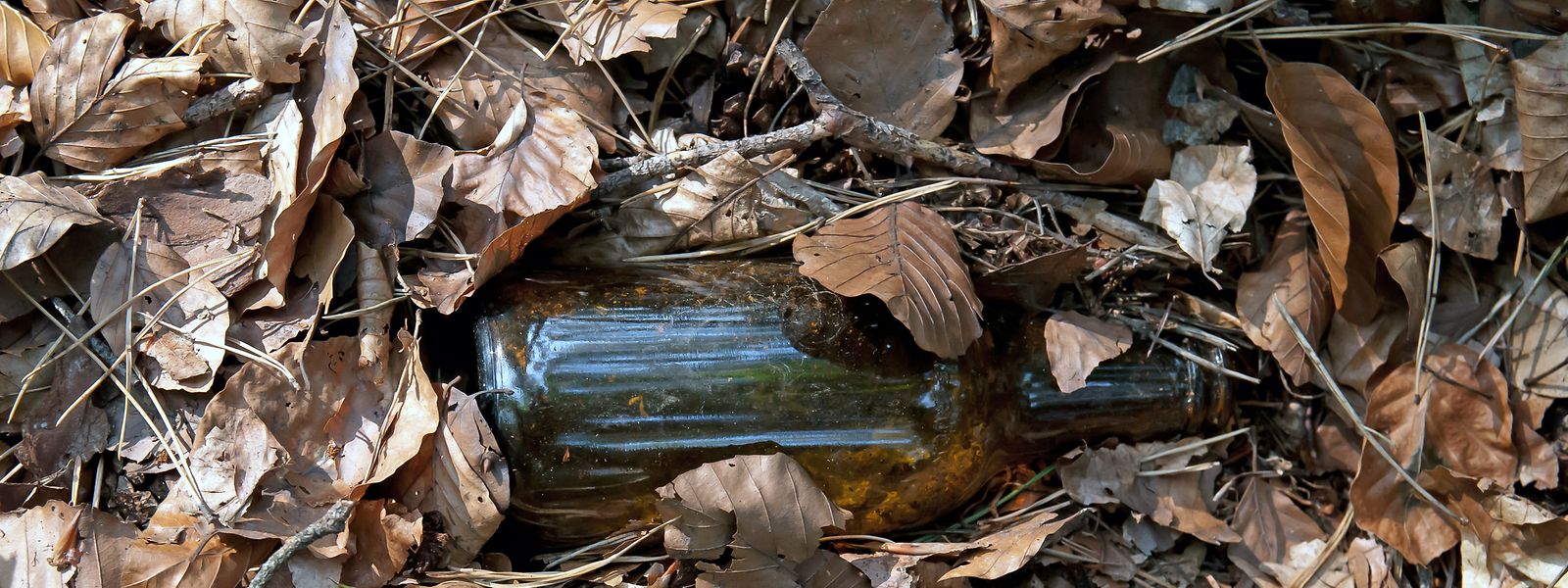  Neben Papier- und Plastikmüll sind im Wald ebenfalls weggeworfene Bierflaschen zu finden. Es dauert lange, bis diese zersetzt sind. 