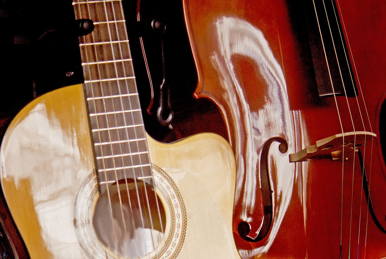 Classical stringed musical instruments. No people