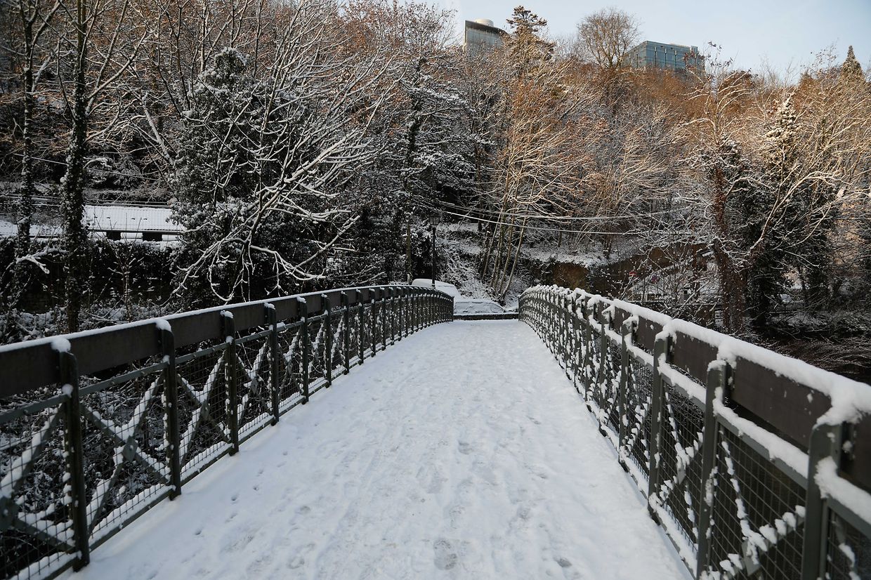 Illustration, Schnee, Winter, Winterlandschaft, Foto: Anouk Antony/Luxemburger Wort
