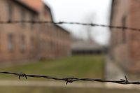 Auschwitz Oswiciem ©Christophe Olinger 17-20 janvier 2020