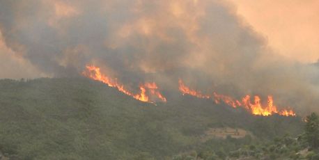 Mediterrâneo terá ondas de calor, secas e incêndios ainda piores, alerta ONU - Vimarsana News