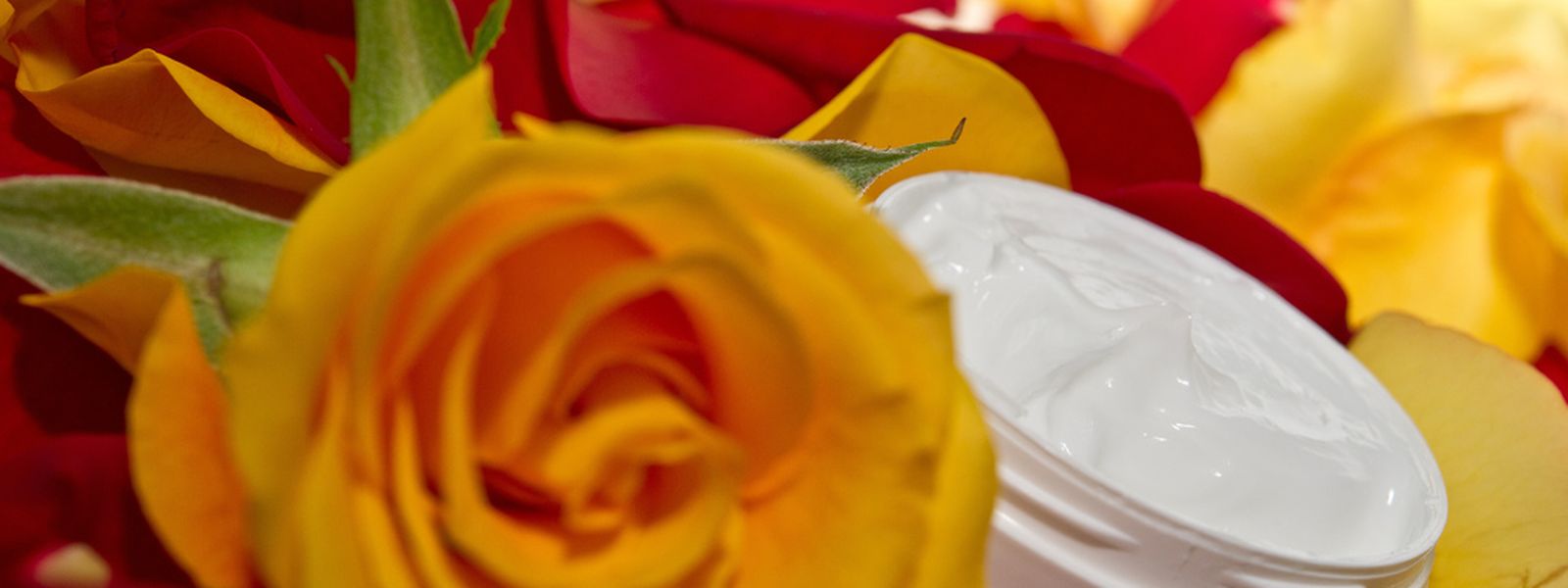 Kosmetik Im Namen Der Rose