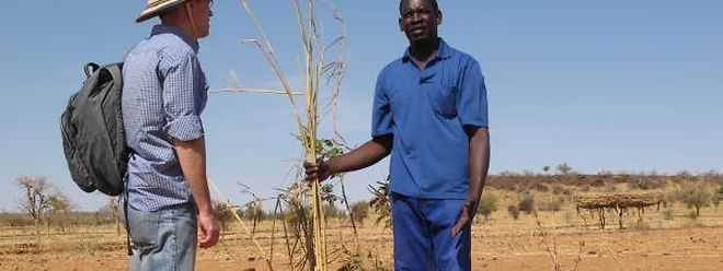 Mangelhafte Konzepte Rechnungsprufer Bewerten Eu Hilfen Fur Afrika Als Nicht Wirksam