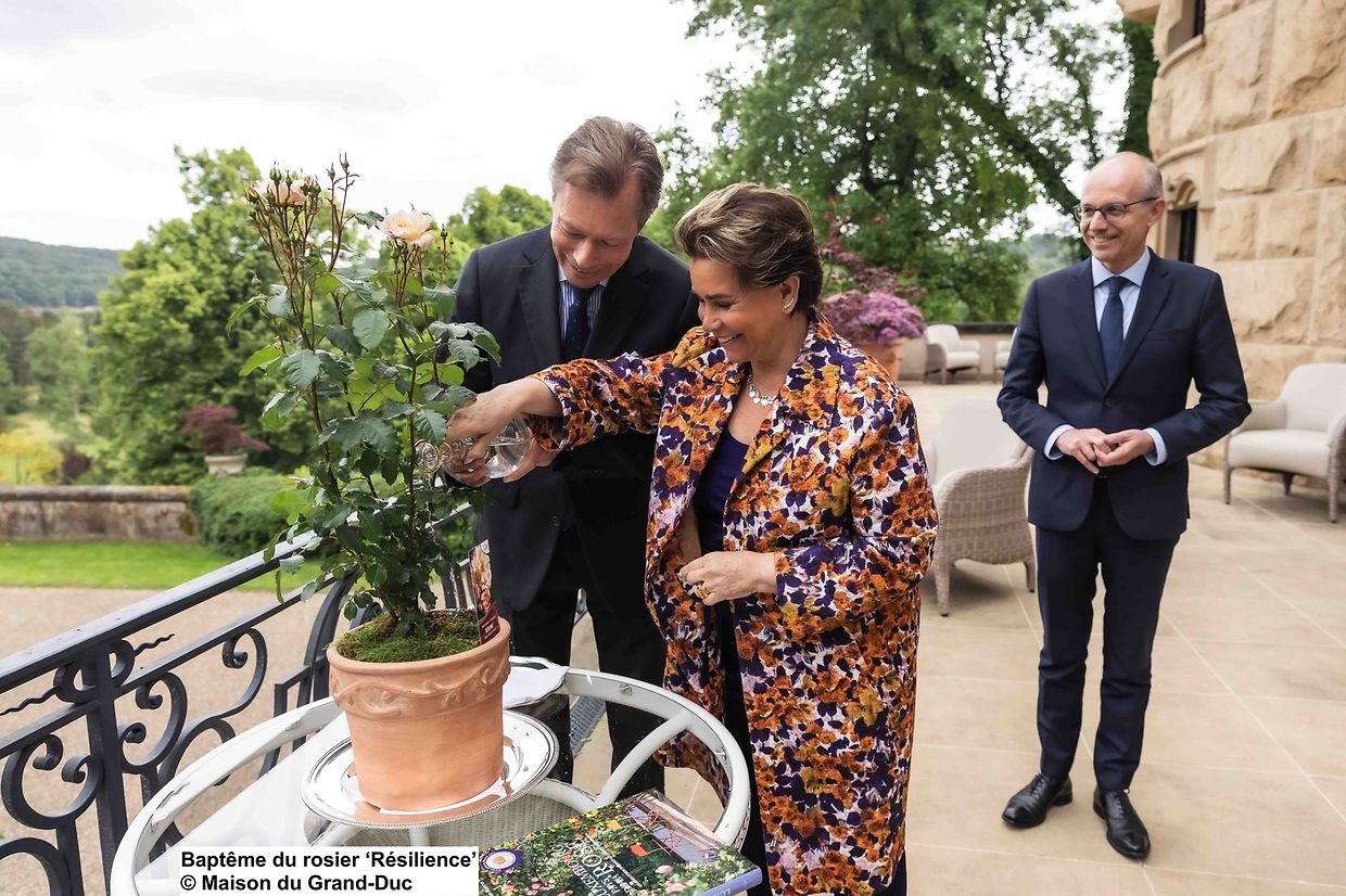 Baptême de la Rose "Résilience"
