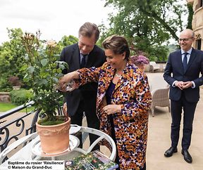 Baptême de la Rose "Résilience"