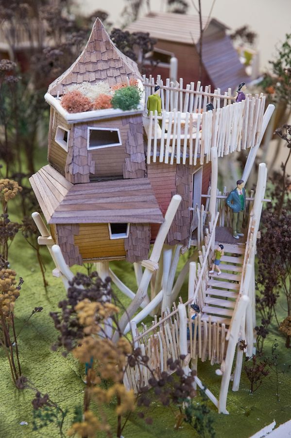 Ob Treppen oder ein Holzsteg zu diesem Baumhaus führen wird, ist noch nicht entschieden. 