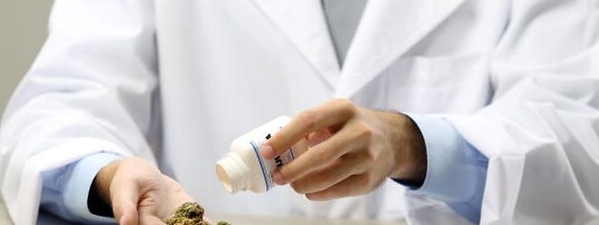 Cannabis auf Rezept: Präparate sollen besonders die Leiden bei chronischen Schmerzen lindern.