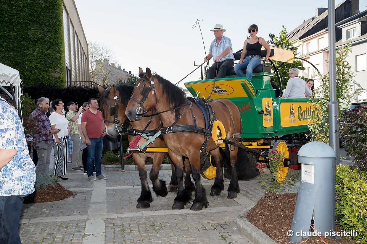 Schmit HAPPENS -  Let's Hopp! - centre sportif Oberkorn - Differdange - 14.06.2017 © claude piscitelli