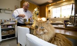 Homestory Mars di Bartolomeo. Foto:Gerry Huberty