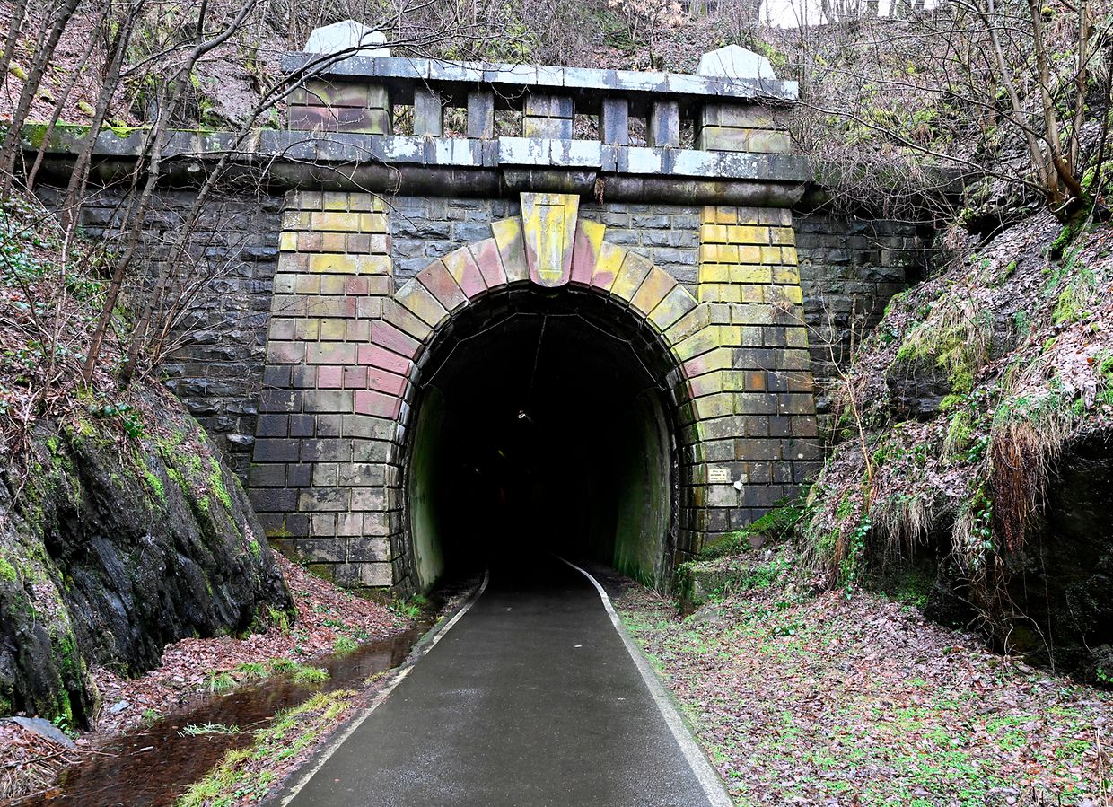 Luise's body was found near this bike path next to an old railway line.