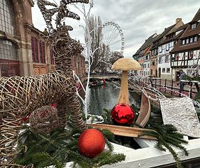 La petite Venise de Colmar